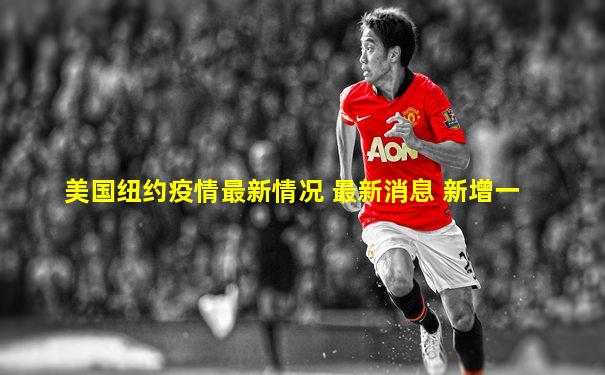 美国纽约疫情最新情况 最新消息 新增一